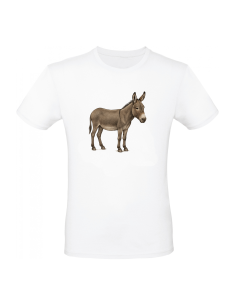 Tee Shirt ane